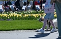 Hunde d&uuml;rfen mit auf das Gel&auml;nde der Landesgartenschau in Leinefelde. (Ren&eacute; Wei&szlig;bach)