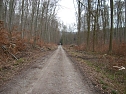 Weg zum Marienbrunnen (Foto: Karl-Heinz Herrmann) Weg zum Marienbrunnen (Foto: Karl-Heinz Herrmann)