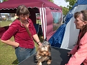 Spezialzuchtschau Hunde auf dem Possen (Foto: Karl-Heinz Herrmann)