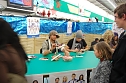 Autogrammstunde beFour in Nordhausen. nnz-City Scout on Tour (Foto: Sven G&auml;mkow)