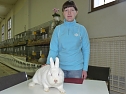 Rassekaninchenschau Kyffh&auml;userkreis (Foto: Karl-Heinz Herrmann)