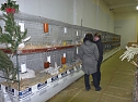 Rassekaninchenschau Kyffh&auml;userkreis (Foto: Karl-Heinz Herrmann)