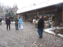 Rassekaninchenschau Kyffh&auml;userkreis (Foto: Karl-Heinz Herrmann)