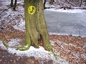 Am Ententeich im Kyffh&auml;userwald (Foto: Karl-Heinz Herrmann)