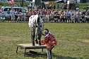 Kampf der Giganten Sundhausen (Foto: nnz-City Scout: Sven G&auml;mkow)