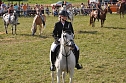 Kampf der Giganten Sundhausen (Foto: nnz-City Scout: Sven G&auml;mkow)