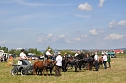 Kampf der Giganten Sundhausen (Foto: nnz-City Scout: Sven G&auml;mkow)