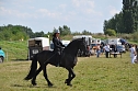 Kampf der Giganten Sundhausen (Foto: nnz-City Scout: Sven G&auml;mkow)