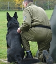 F&uuml;r tauglich befunden (Foto: PD NDH)