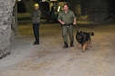 Salzstaub gesch&uuml;ffelt (Foto: T. Soszynski)