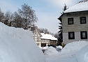 Wintergr&uuml;&szlig;e (Foto: Ch. Wiesemann)