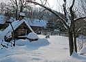 Wintergr&uuml;&szlig;e (Foto: Ch. Wiesemann)