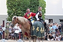 Hochprofessionelle Reitershow mit "Wenzel Ritterspiele" (Foto: Eva Maria Wiegand)