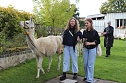 Unterwegs mit den Unstrut Lamas aus Herbsleben (Foto: Eva Maria Wiegand)