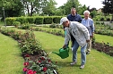 Feierliche Einpflanzung im Rosengarten am Pfingstsamstag (Foto: oas)