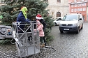 Gro&szlig;e Freude bei kleinen Wichteln - Kita Kinder schm&uuml;cken Weihnachtsbaum am Bad Langensalzaer Rathaus (Foto: Eva Maria Wiegand)