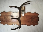 Lampe 