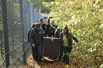 Mit Elba ist der zweite "Waldgeist" im Bärenpark eingezogen (Foto: Bernd Nonnenmacher) Mit Elba ist der zweite "Waldgeist" im Bärenpark eingezogen (Foto: Bernd Nonnenmacher)