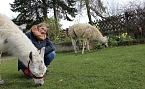 Bild: Unsere Redakteurin der Kyffh&auml;user Nachrichten, Eva Maria Wiegand, besuchte die Unstrut-Lamas in Herbsleben (Foto: Alina Kroll)