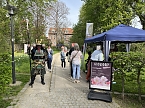 Hanami im Japanischen Garten Bad Langensalza (Foto: oas)