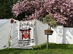 Hanami im Japanischen Garten Bad Langensalza (Foto: oas)