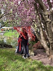 Hanami im Japanischen Garten Bad Langensalza (Foto: oas)