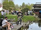 Hanami im Japanischen Garten Bad Langensalza (Foto: oas)