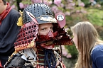 Hanami im Japanischen Garten Bad Langensalza (Foto: Eva Maria Wiegand)