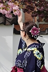 Hanami im Japanischen Garten Bad Langensalza (Foto: Eva Maria Wiegand)