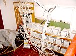 Profihaft angebaut (Foto: nnz)