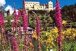 Erholung in S&uuml;dtirol (Foto: Schloss Trauttmansdorff)