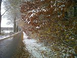 Herbst und Winter (Foto: G. Schütze) Herbst und Winter (Foto: G. Schütze)