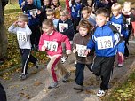 15. Stadtparklauf Sondershausen (Foto: Karl-Heinz Herrmann)