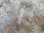 Blindg&auml;nger gefunden (Foto: nnz)