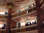Schlossball 2009: Ein- und Ausblicke (Foto: nnz/kn)