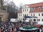 Rosenmontagsumzug2009 (Foto: Karl-Heinz Herrmann)