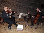 1. Sondersh&auml;user Salz-Kristallball (Foto: Karl-Heinz Herrmann)