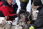 Schlittenhunderennen in Benneckenstein (Foto: Karin Lehmann)