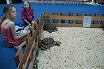 Welt der Reptilien in der Wiedingsburghalle (Foto: nnz-City Scout: Sven G&auml;mkow)