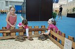Welt der Reptilien in der Wiedingsburghalle (Foto: nnz-City Scout: Sven G&auml;mkow)