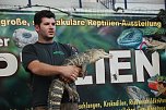 Welt der Reptilien in der Wiedingsburghalle (Foto: nnz-City Scout: Sven G&auml;mkow)