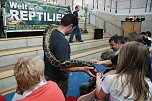 Welt der Reptilien in der Wiedingsburghalle (Foto: nnz-City Scout: Sven G&auml;mkow)