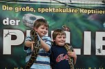 Welt der Reptilien in der Wiedingsburghalle (Foto: nnz-City Scout: Sven G&auml;mkow)