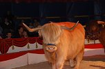 Circus Rolina gastiert in Nordhausen  (Foto: nnz-City Scout: Sven G&auml;mkow)