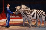 Circus Rolina gastiert in Nordhausen  (Foto: nnz-City Scout: Sven G&auml;mkow)