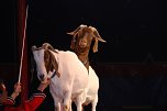 Circus Rolina gastiert in Nordhausen  (Foto: nnz-City Scout: Sven G&auml;mkow)