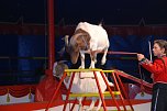 Circus Rolina gastiert in Nordhausen  (Foto: nnz-City Scout: Sven G&auml;mkow)