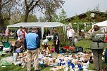 Tierheimfest  in Nordhausen (Foto: nnz-City Scout: Sven G&auml;mkow)