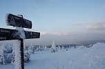 Am Frauentag auf den Brocken (Foto: H. Fischer/AHP)