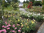 Besuch im Rosengarten in Bad Langensalza (Foto: Manfred Kappler)